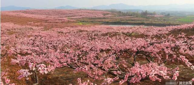 湖北4地跻身县域经济百强 7地入围综合发展百强